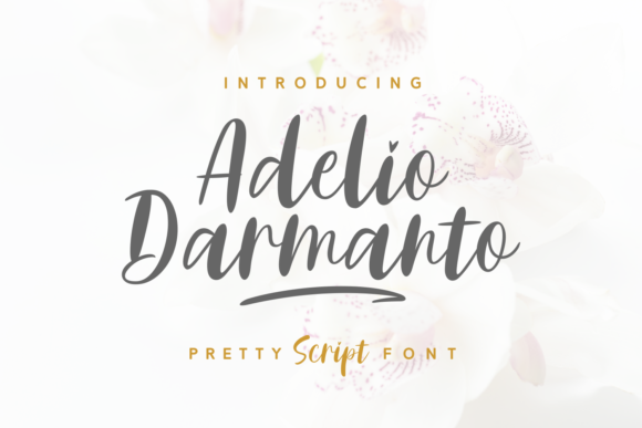 Adelio Darmanto: A Structured Approach to Smarter Workflows and Decisive Action