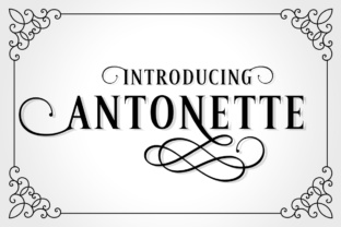 Antonette: A Practical Tool for Everyday Creators and Professionals