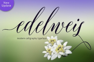 Building Resilient Workflows with Edelweis