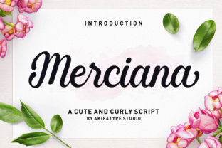 Merciana: A Strategic Framework for Intentional Decision-Making and Long-Term Results