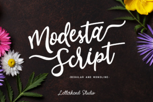 Modesta Script: Where Handcrafted Lettering Meets Digital Precision