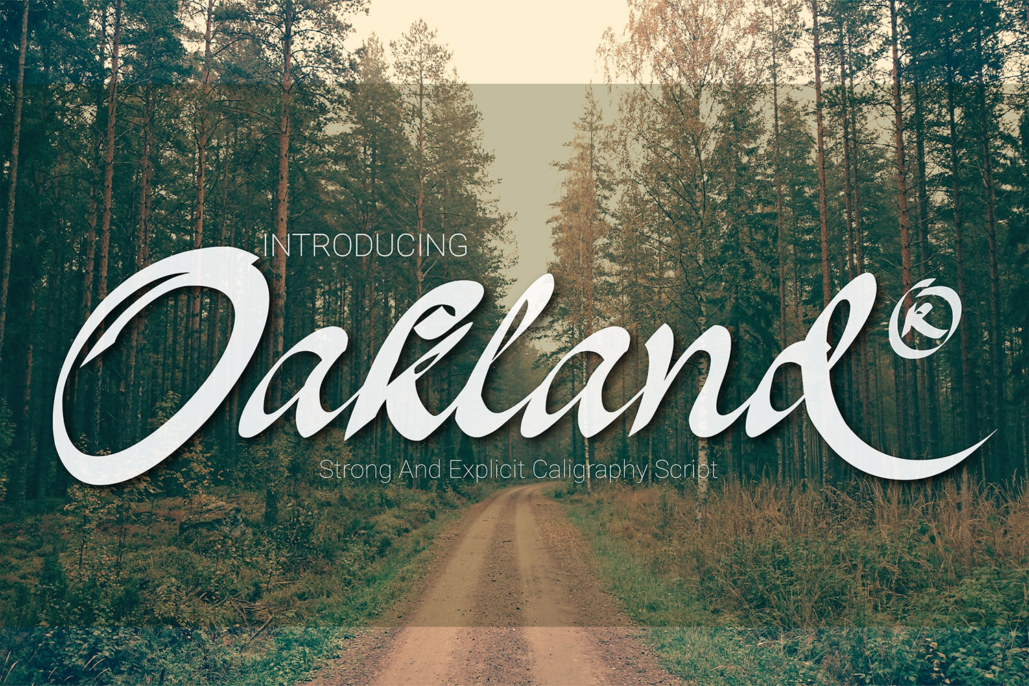 Oakland: A City of Diverse Opportunities and Perspectives