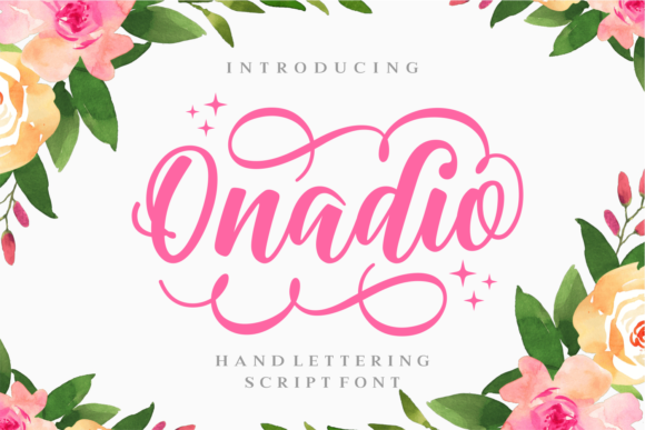 Onadio: A Practical Evaluation for Data-Driven Decision-Makers