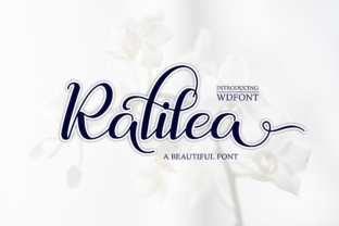 Ralilea: A Holistic Approach to Understanding Interconnected Systems