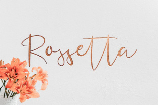 Rossetta and the Art of Language Learning in a Connected World