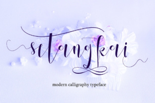 Setangkai Script in Practice: Real-World Uses and Practical Tips