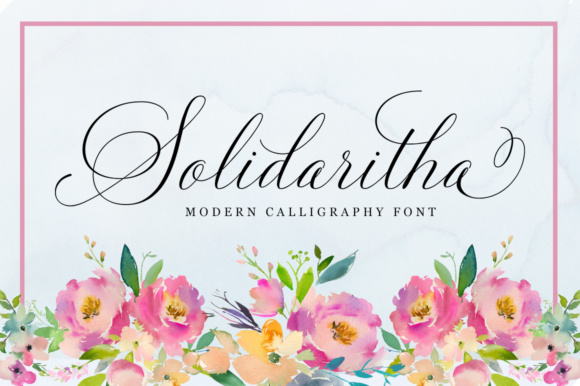 Solidaritha: A Practical Guide to Collaborative Productivity and Community-Driven Work