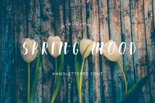 Spring Mood: A Practical Framework for Renewal and Momentum in Your Workflows