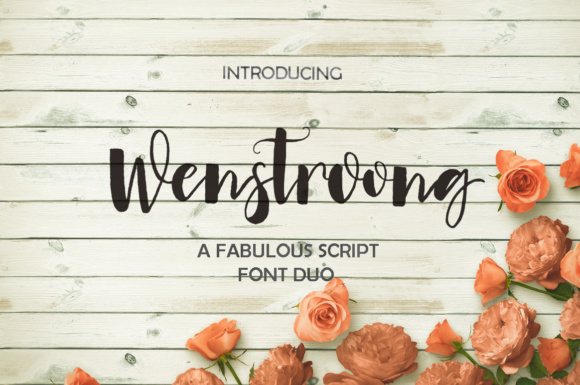 Wenstroong Font: Character, Style, and Practical Applications